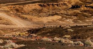 游戏零售渠道日益艰难 GameStop闭店数量高达400家