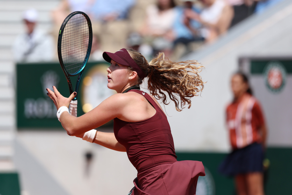 的年轻新星 的年轻新星